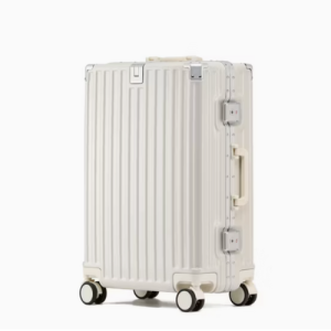 Travel Luggage 1